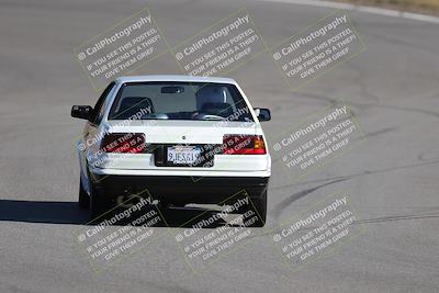 media/Nov-19-2023-Extreme Speed (Sun) [[bd0eec5490]]/Purple/Back Shots/